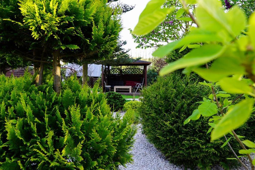 Zarzecze 27A Villa Augustów Exteriör bild